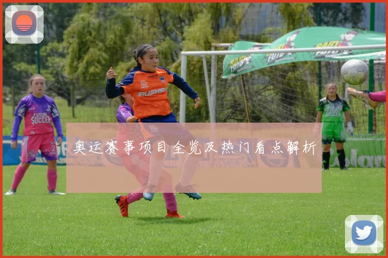 奥运赛事项目全览及热门看点解析