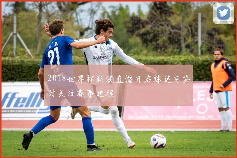 2018世界杯新浪直播开启球迷可实时关注赛事进程